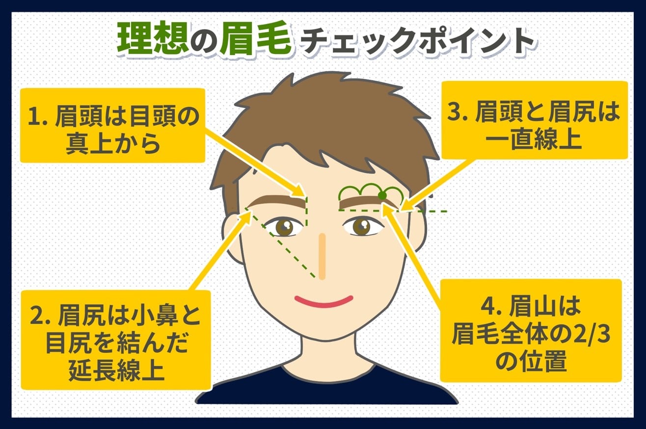 眉毛の形には正解が 理想の眉毛の形とは 新宿 銀座 池袋 横浜 メンズ 眉毛専門サロン プラスエイト