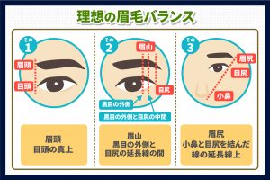 理想の眉毛バランス