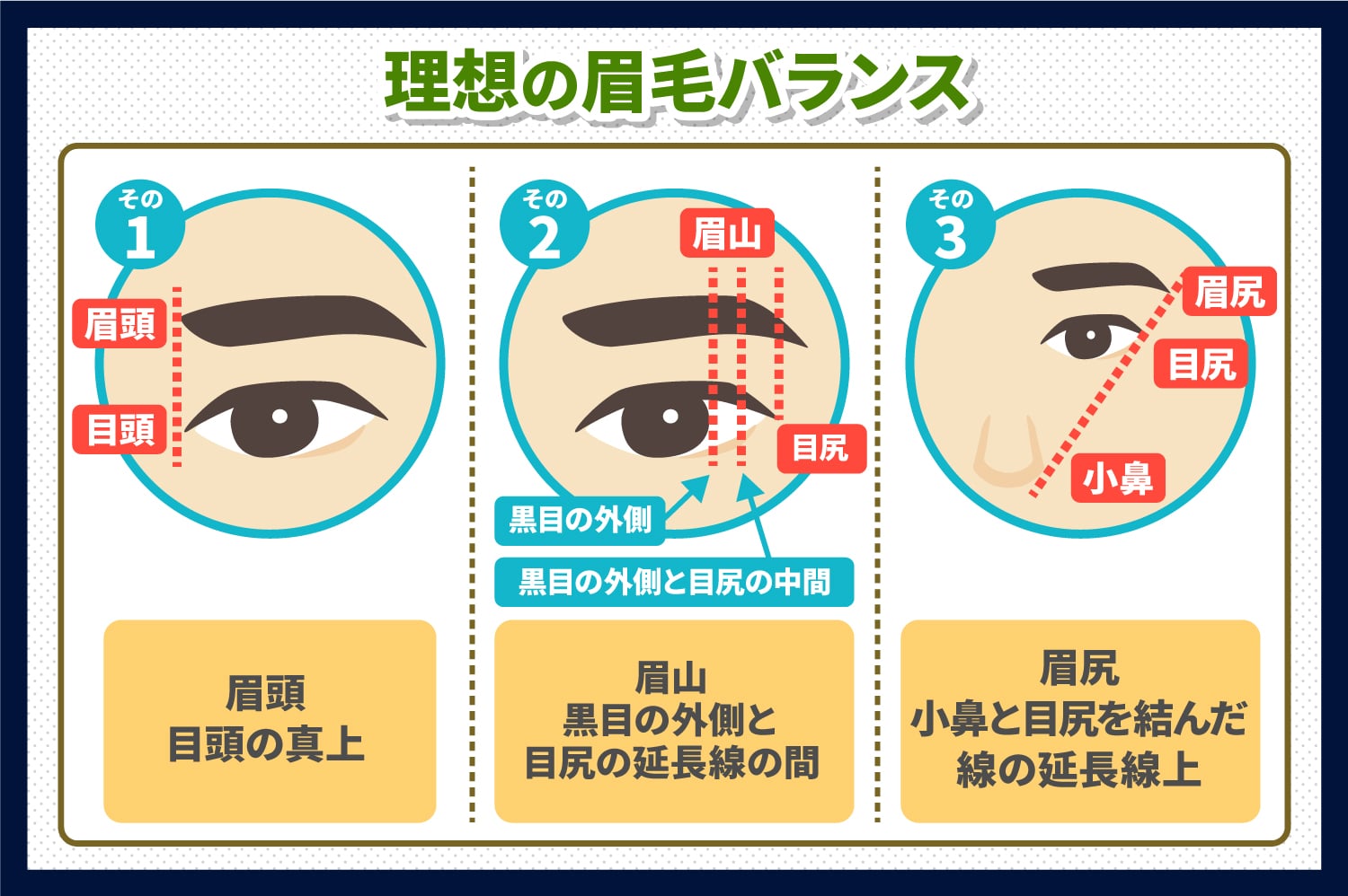 理想の眉毛になるには眉頭 眉山 眉尻のバランスを整えよう 新宿 銀座 池袋 横浜 メンズ 眉毛専門サロン プラスエイト