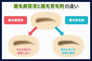 眉毛美容液と眉毛育毛剤の違い