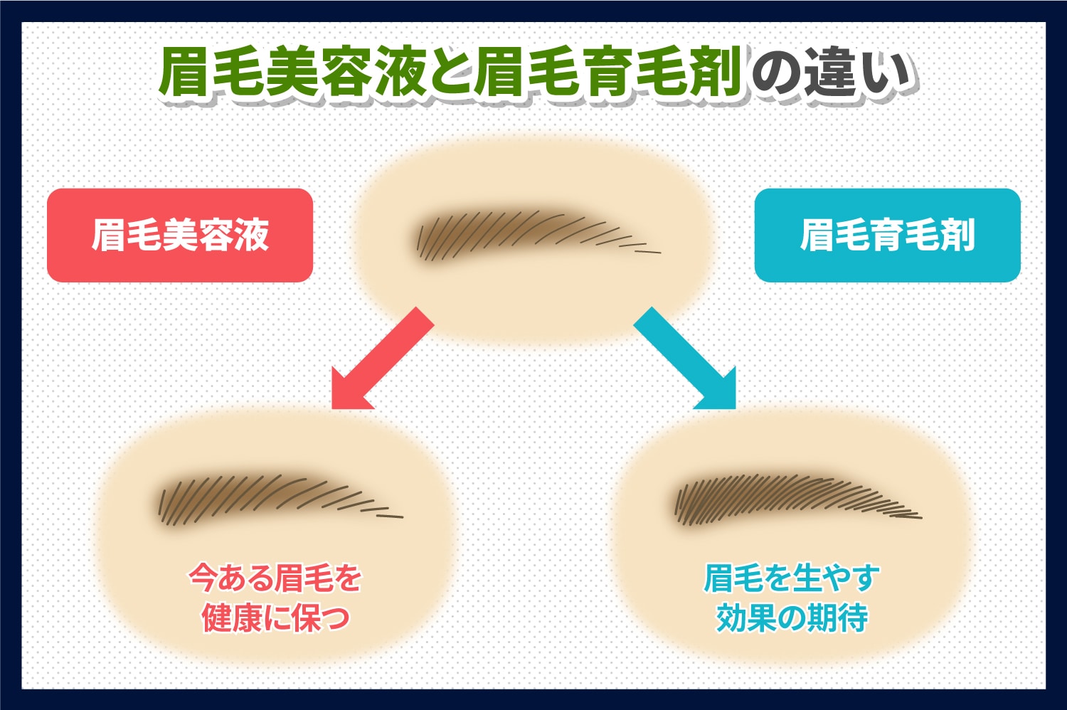 眉毛美容液と眉毛育毛剤の違いについて