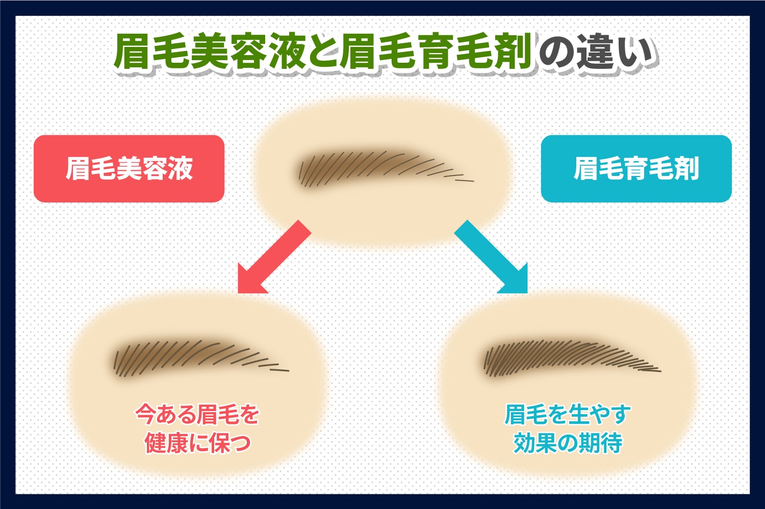 眉毛美容液と眉毛育毛剤の違い