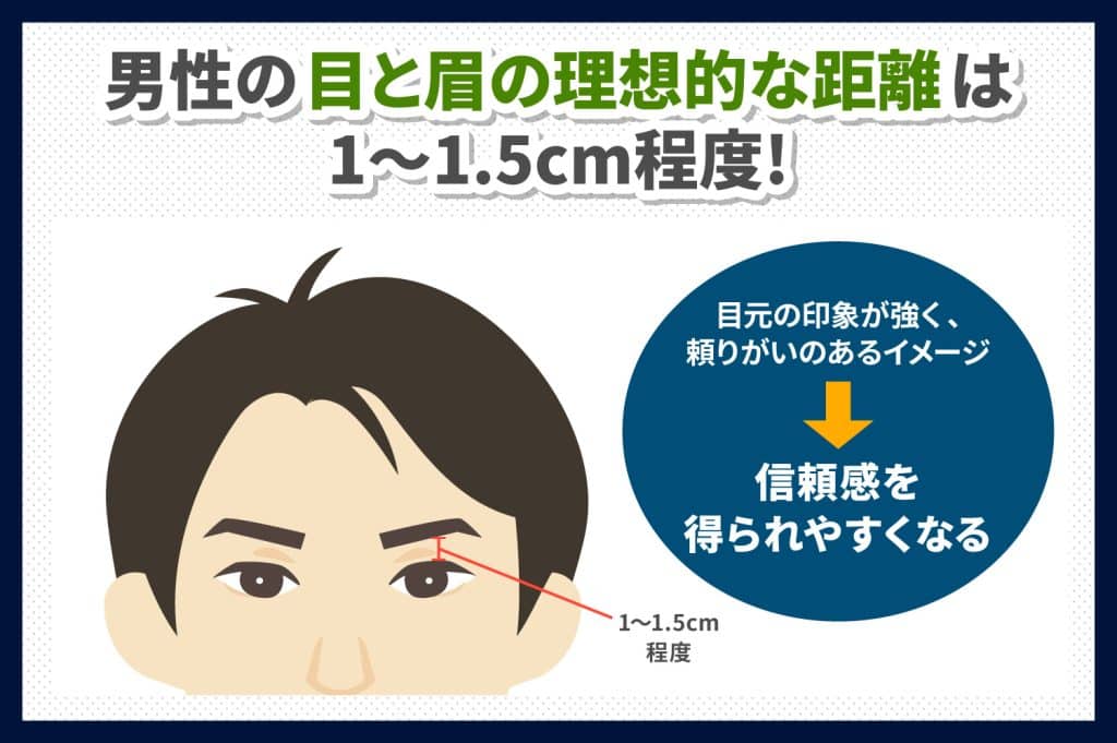 男性の目と眉毛の理想的な距離