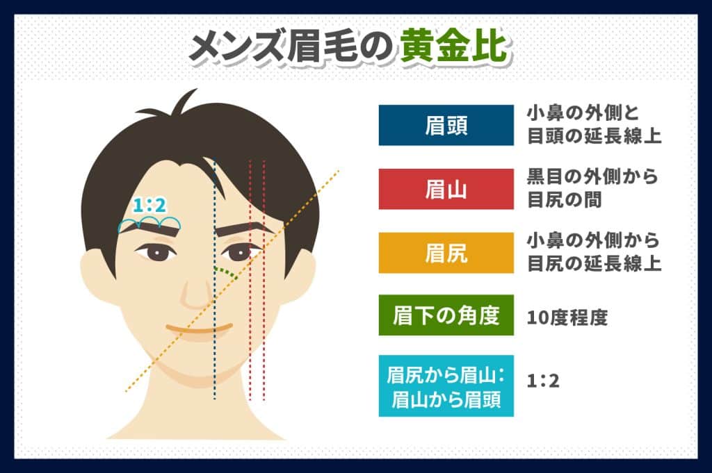 眉毛の黄金比とは